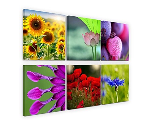 6 teilige moderne Bilderserie je 20x20cm - Sonnenblumen...