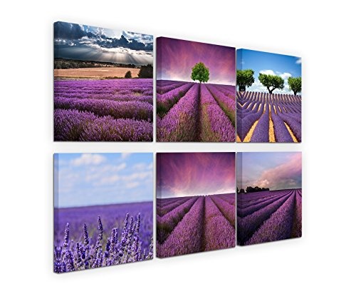 6 teilige moderne Bilderserie je 20x20cm - Lavendelfeld Blumen Violett