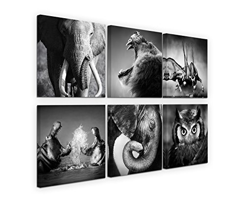 6 teilige moderne Bilderserie je 20x20cm - Elefant Löwe Stier Nilpferd Uhu Tierwelt