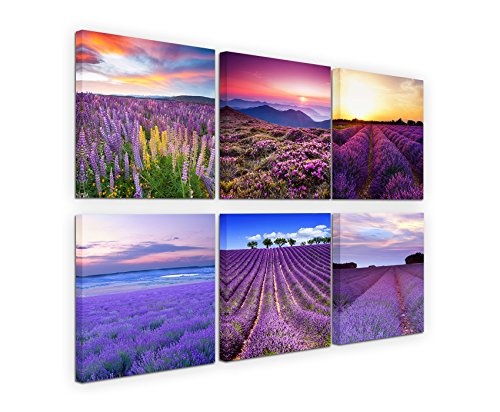 6 teilige moderne Bilderserie je 20x20cm - Lavendelfeld...