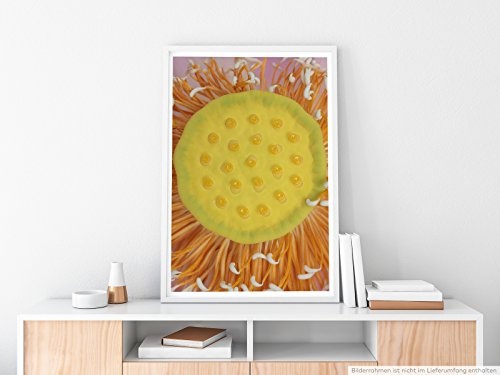 Best for home Artprints - Kunstbild - Witzige Blüte in Makroaufnahme- Fotodruck in gestochen scharfer Qualität
