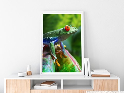 Best for home Artprints - Tierfotografie - Bunter Frosch- Fotodruck in gestochen scharfer Qualität