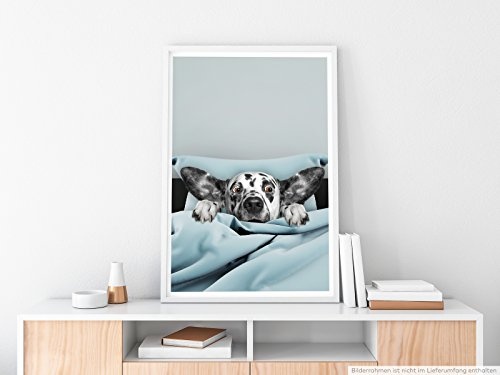 Best for home Artprints - Bild - Süßer Dalmatiner im Bett- Fotodruck in gestochen scharfer Qualität
