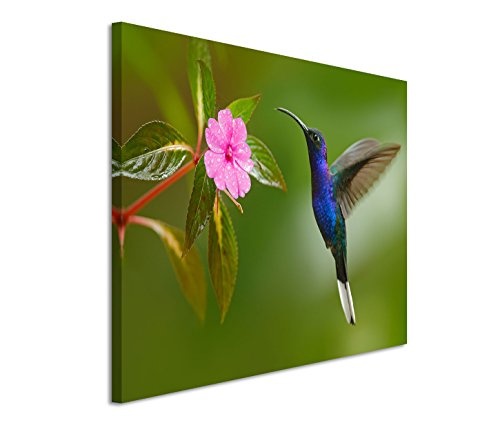 Modernes Bild 90x60cm Tierfotografie - Kolibri vor einer...