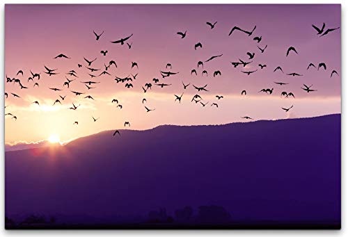bestforhome 180x120cm Leinwandbild Vögel fliegen in den Sonnenuntergang Leinwand auf Holzrahmen