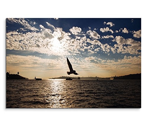 Modernes Bild 120x80cm Landschaftsfotografie - Vogel über dem Bosporus Istanbul