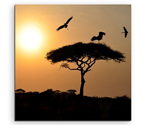 Fotokunst quadratisch 60x60cm Landschaftsfotografie - Vögel und Akazie bei Sonnenuntergang