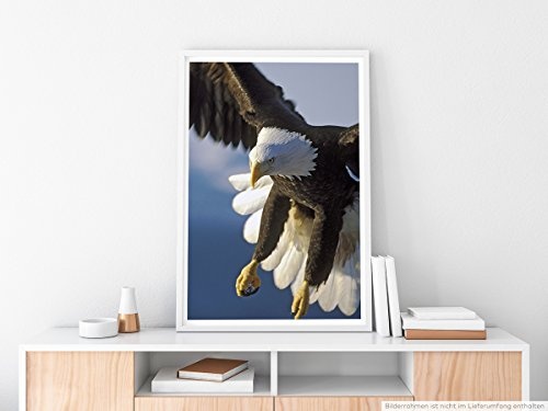 Best for home Artprints - Tierfotografie - Seeadler im Flug- Fotodruck in gestochen scharfer Qualität
