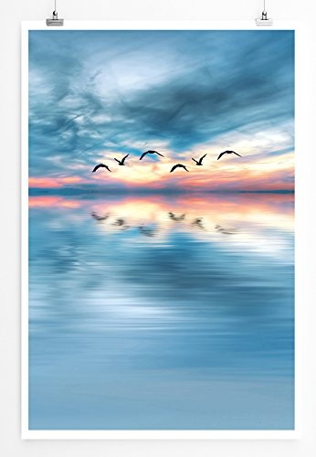 Best for home Artprints - Art - Vögel zwischen Himmel und Meer- Fotodruck in gestochen scharfer Qualität