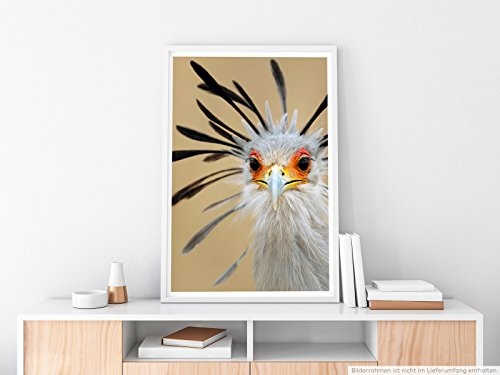 Best for home Artprints - Tierfotografie - Witziger...