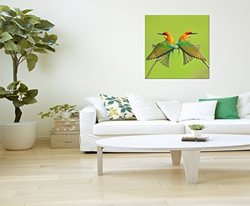 80x80cm - Vögel Bienenfresser Pärchen - Bild auf Keilrahmen modern stilvoll - Bilder und Dekoration