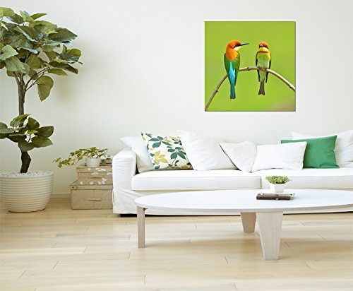 80x80cm - Vögel Pärchen Bienenfresser Zweig - Bild auf Keilrahmen modern stilvoll - Bilder und Dekoration