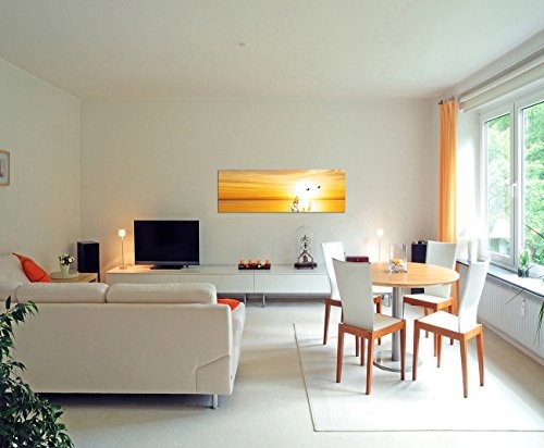 Wandbild auf Leinwand als Panorama in 120x40cm See Gräser Vögel Sonnenuntergang