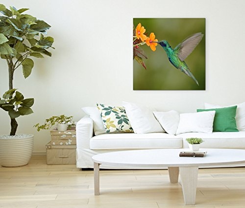 Modernes Bild 80x80cm Landschaftsfotografie - Kolibri vor oranger Blüte