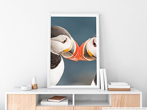 Best for home Artprints - Tierfotografie - Romantische Papageitaucher auf Island- Fotodruck in gestochen scharfer Qualität