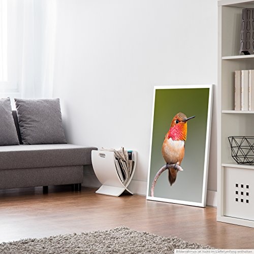Best for home Artprints - Tierfotografie - Zimtkolibri auf einem Zweig - Fotodruck in gestochen scharfer Qualität