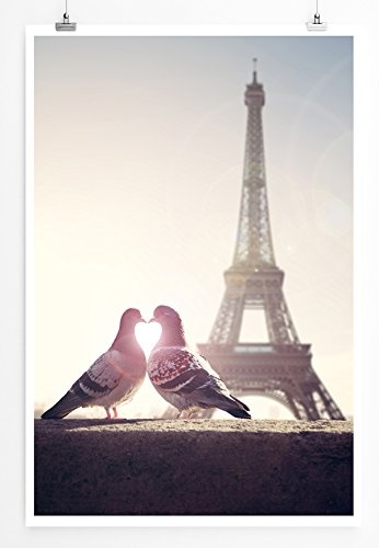 Best for home Artprints - Fotografie - Turteltauben vor dem Eiffelturm Paris- Fotodruck in gestochen scharfer Qualität