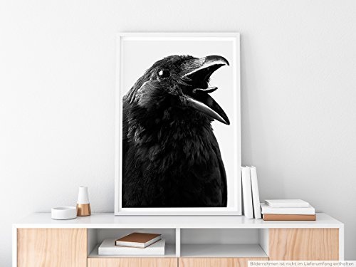Best for home Artprints - Tierfotografie - Krächzende Krähe schwarz weiß- Fotodruck in gestochen scharfer Qualität