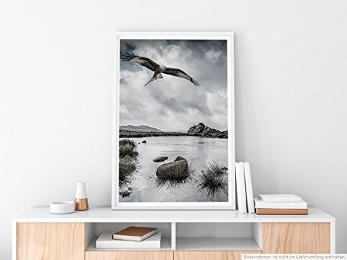Best for home Artprints - Fotocollage - Landschaft mit Greifvogel und Felsen- Fotodruck in gestochen scharfer Qualität