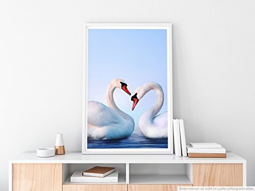 Best for home Artprints - Tierfotografie - Verliebtes weißes Schwanenpaar- Fotodruck in gestochen scharfer Qualität