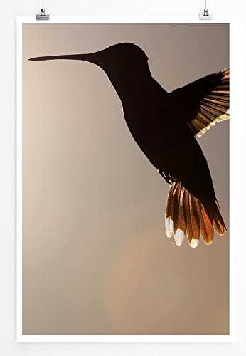 Best for home Artprints - Tierfotografie - Kolibri...