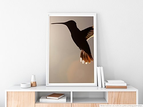 Best for home Artprints - Tierfotografie - Kolibri Silhouette im Flug- Fotodruck in gestochen scharfer Qualität