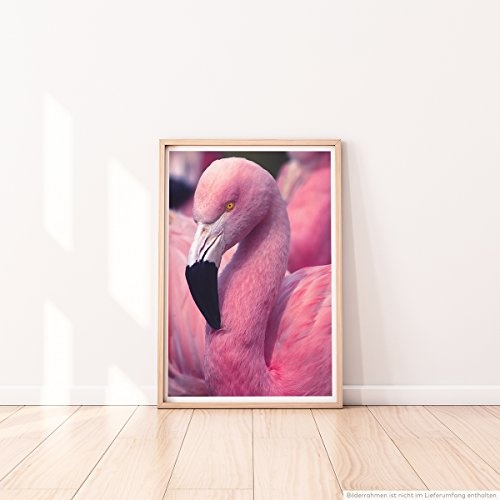 Best for home Artprints - Tierfotografie - Pinker Flamingo in der Gruppe- Fotodruck in gestochen scharfer Qualität