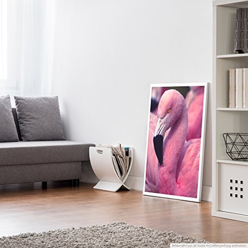 Best for home Artprints - Tierfotografie - Pinker Flamingo in der Gruppe- Fotodruck in gestochen scharfer Qualität