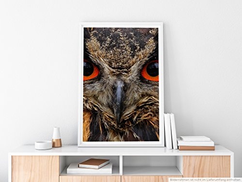 Best for home Artprints - Tierfotografie - Porträt einer Eule mit roten Augen im Detail- Fotodruck in gestochen scharfer Qualität