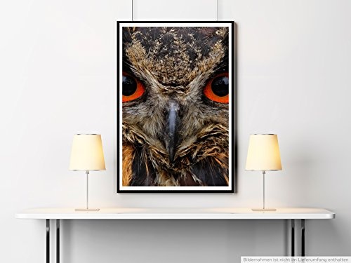 Best for home Artprints - Tierfotografie - Porträt einer Eule mit roten Augen im Detail- Fotodruck in gestochen scharfer Qualität