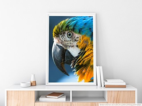 Best for home Artprints - Tierfotografie - Ara im Porträt- Fotodruck in gestochen scharfer Qualität