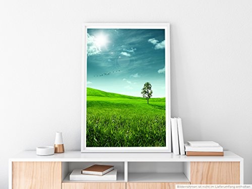 Best for home Artprints - Art - Einsamer Baum auf grüner Wiese- Fotodruck in gestochen scharfer Qualität