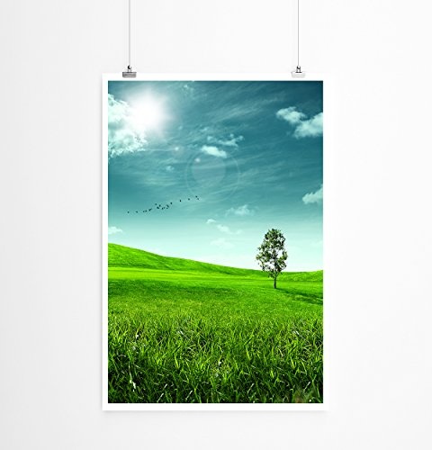 Best for home Artprints - Art - Einsamer Baum auf grüner Wiese- Fotodruck in gestochen scharfer Qualität