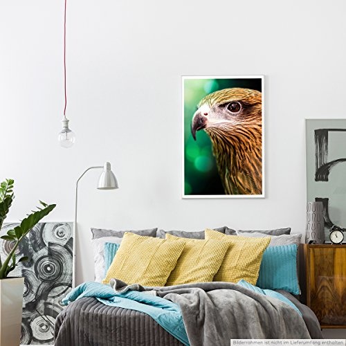 Best for home Artprints - Tierfotografie - Brahminenweih im Porträt- Fotodruck in gestochen scharfer Qualität