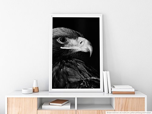 Best for home Artprints - Tierfotografie - Seeadler im Profil- Fotodruck in gestochen scharfer Qualität