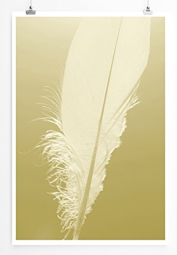 Best for home Artprints - Kunstbild - Weiße Feder vor ockerfarbenen Grund- Fotodruck in gestochen scharfer Qualität