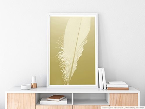 Best for home Artprints - Kunstbild - Weiße Feder vor ockerfarbenen Grund- Fotodruck in gestochen scharfer Qualität