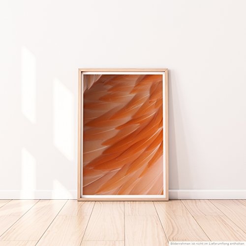 Best for home Artprints - Künstlerische Fotografie - Orange Federn im Detail- Fotodruck in gestochen scharfer Qualität