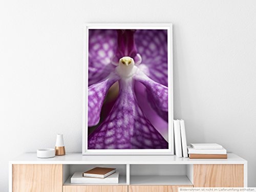 Best for home Artprints - Kunstbild - Lila Orchidee in Vogelform- Fotodruck in gestochen scharfer Qualität