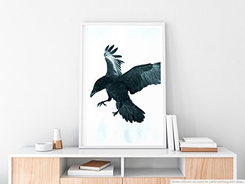 Best for home Artprints - Tierfotografie - Schwarze Krähe im Flug- Fotodruck in gestochen scharfer Qualität
