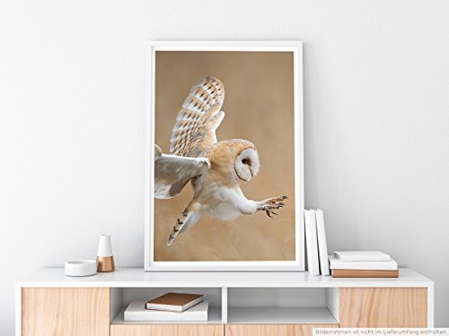 Best for home Artprints - Tierfotografie - Schleiereule im Flug- Fotodruck in gestochen scharfer Qualität