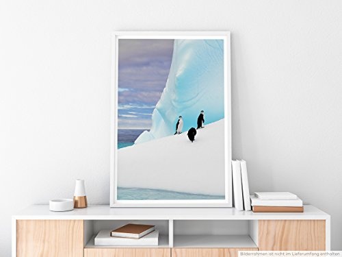Best for home Artprints - Tierfotografie - Pinguine auf einem Eisberg in der Antarktis- Fotodruck in gestochen scharfer Qualität