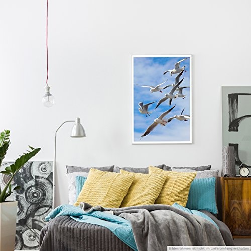 Best for home Artprints - Tierfotografie - Möwen im Wind- Fotodruck in gestochen scharfer Qualität