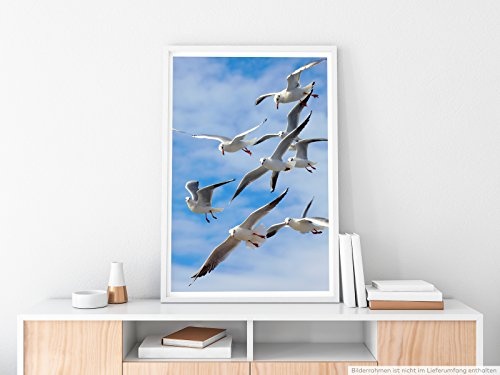 Best for home Artprints - Tierfotografie - Möwen im Wind- Fotodruck in gestochen scharfer Qualität