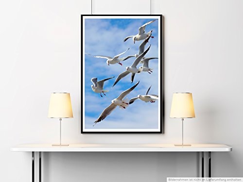 Best for home Artprints - Tierfotografie - Möwen im Wind- Fotodruck in gestochen scharfer Qualität