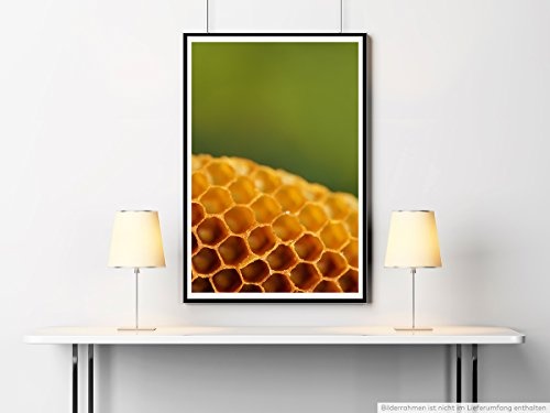 Best for home Artprints - Kunstbild - Honigwabe- Fotodruck in gestochen scharfer Qualität