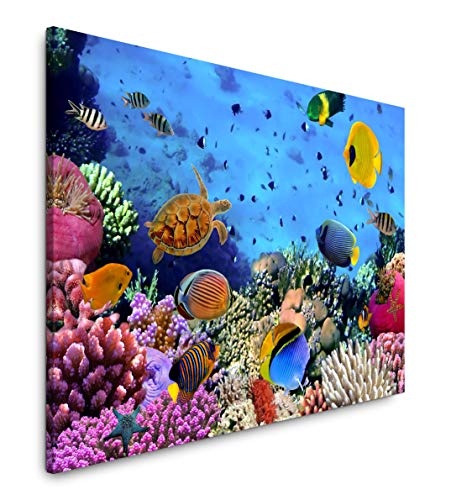 bestforhome 180x120cm Leinwandbild buntes Korallenriff mit bunten Fischen Leinwand auf Holzrahmen