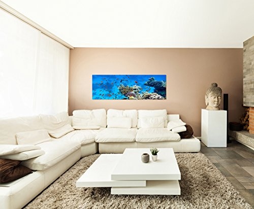 Wandbild auf Leinwand als Panorama in 120x40cm Meer Riff Korallen Fische