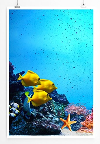 Best for home Artprints - Art - Buntes Korallenriff mit gelben Fischen- Fotodruck in gestochen scharfer Qualität