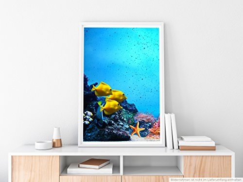 Best for home Artprints - Art - Buntes Korallenriff mit gelben Fischen- Fotodruck in gestochen scharfer Qualität